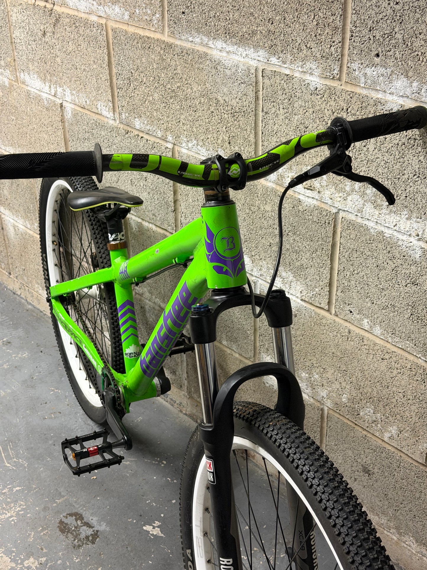 Custom Banshee Amp Dirt Jump Bike 26”