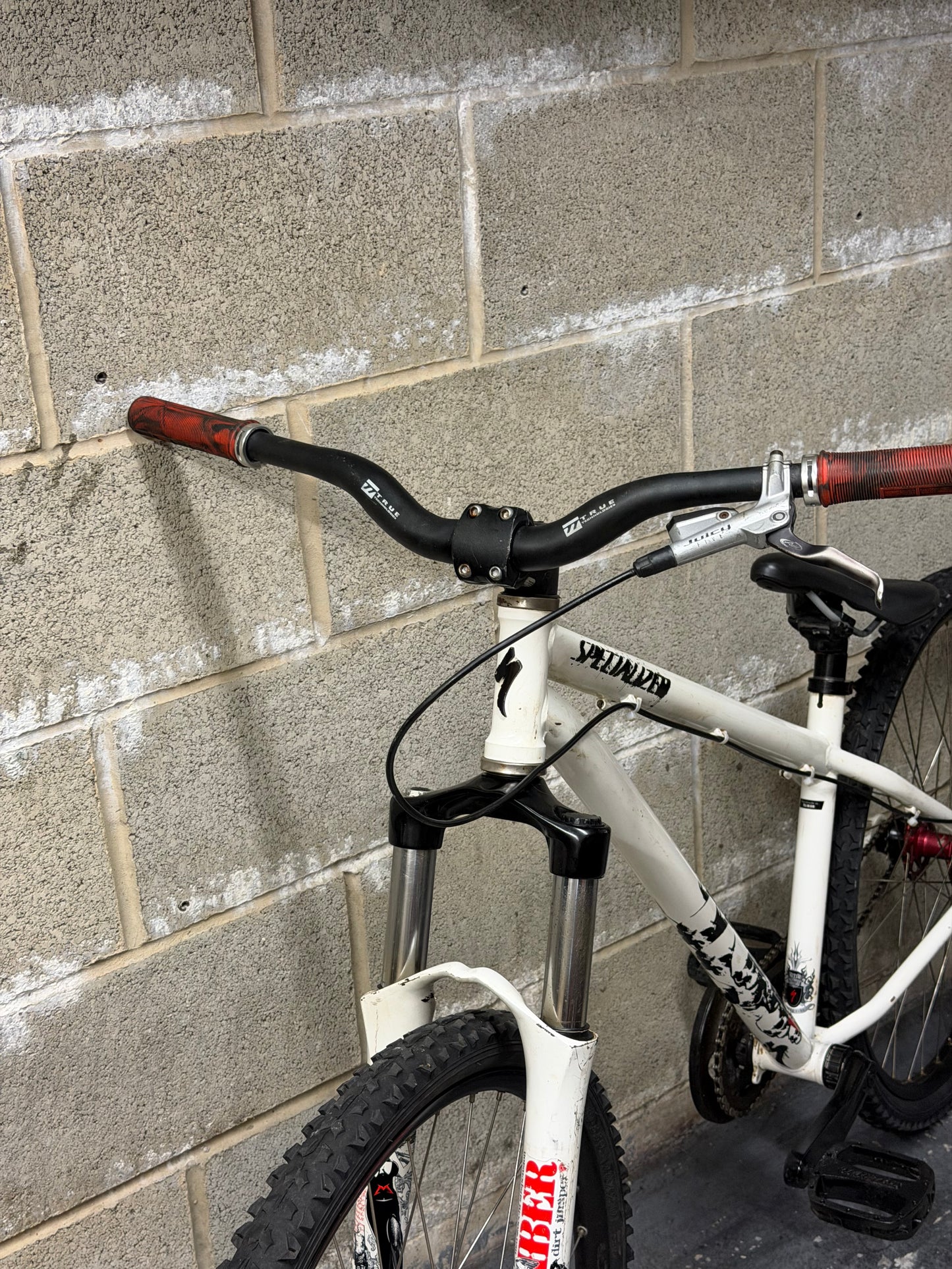Custom Specialized Dirt Jump Bike 26”