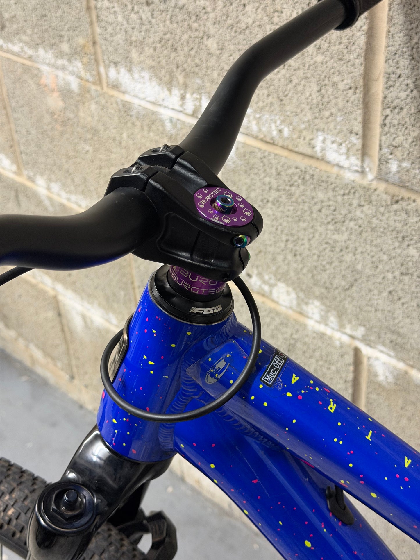 Custom Marin Alcatraz Dirt Jump Bike 26”