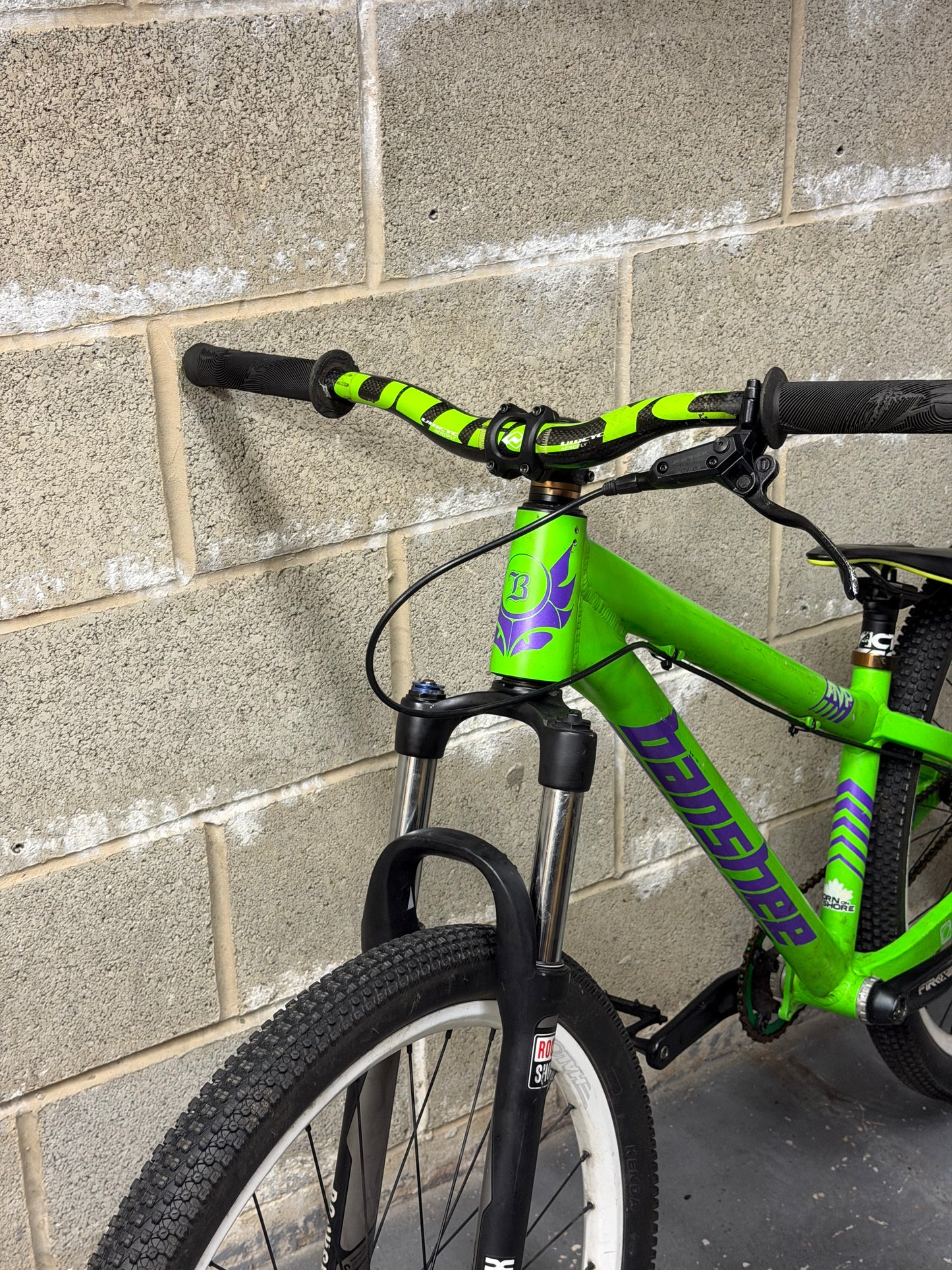 Custom Banshee Amp Dirt Jump Bike 26”