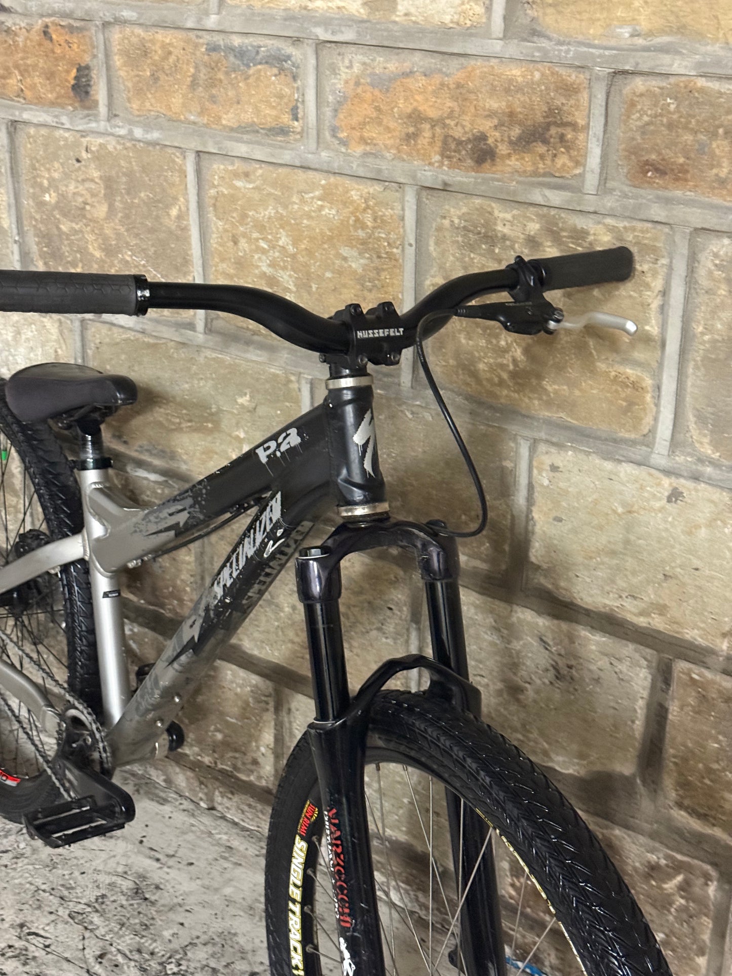 Custom Specialized Dirt Jump Bike 26”