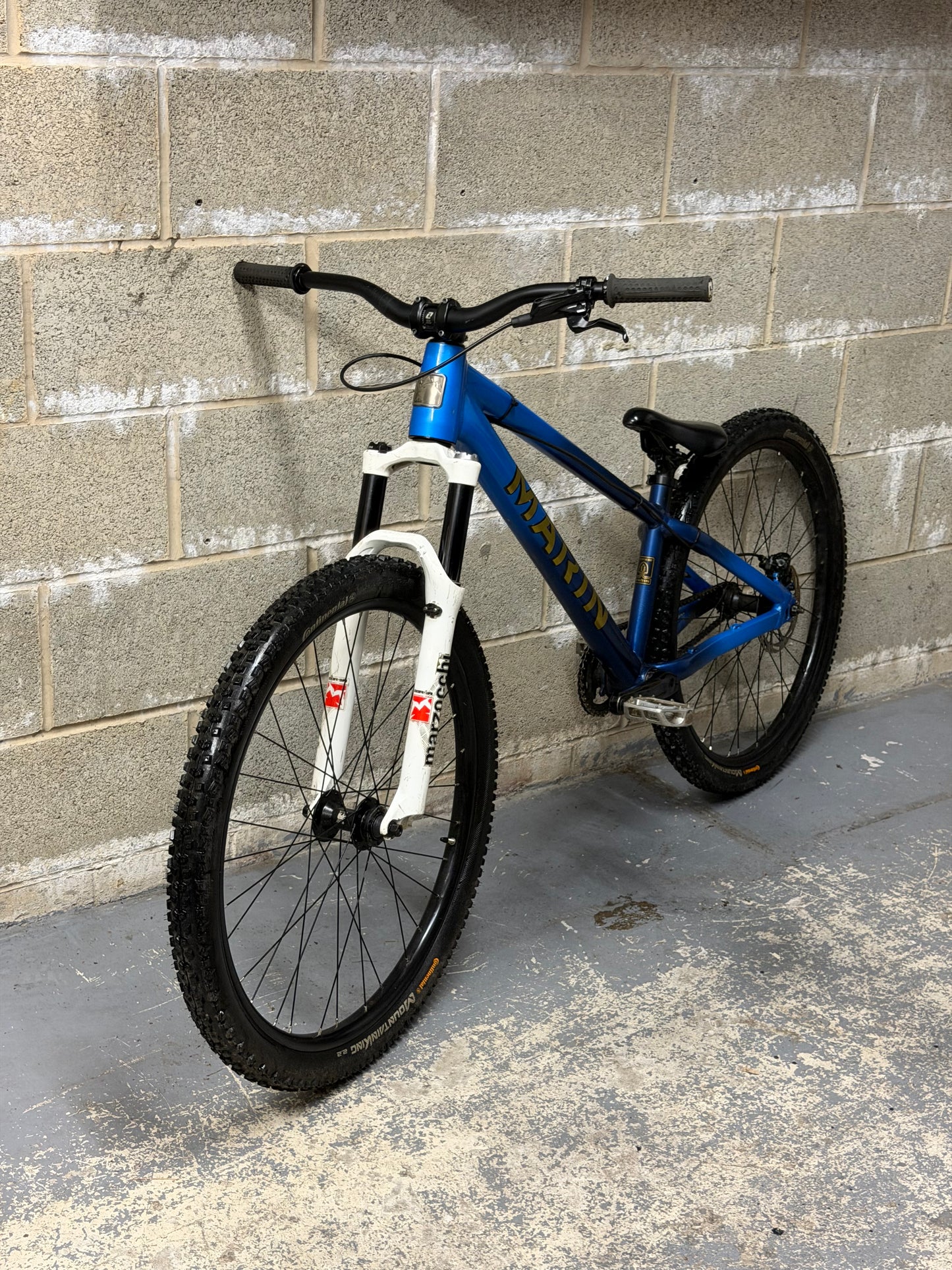 Custom Marin Alcatraz Dirt Jump Bike 26”