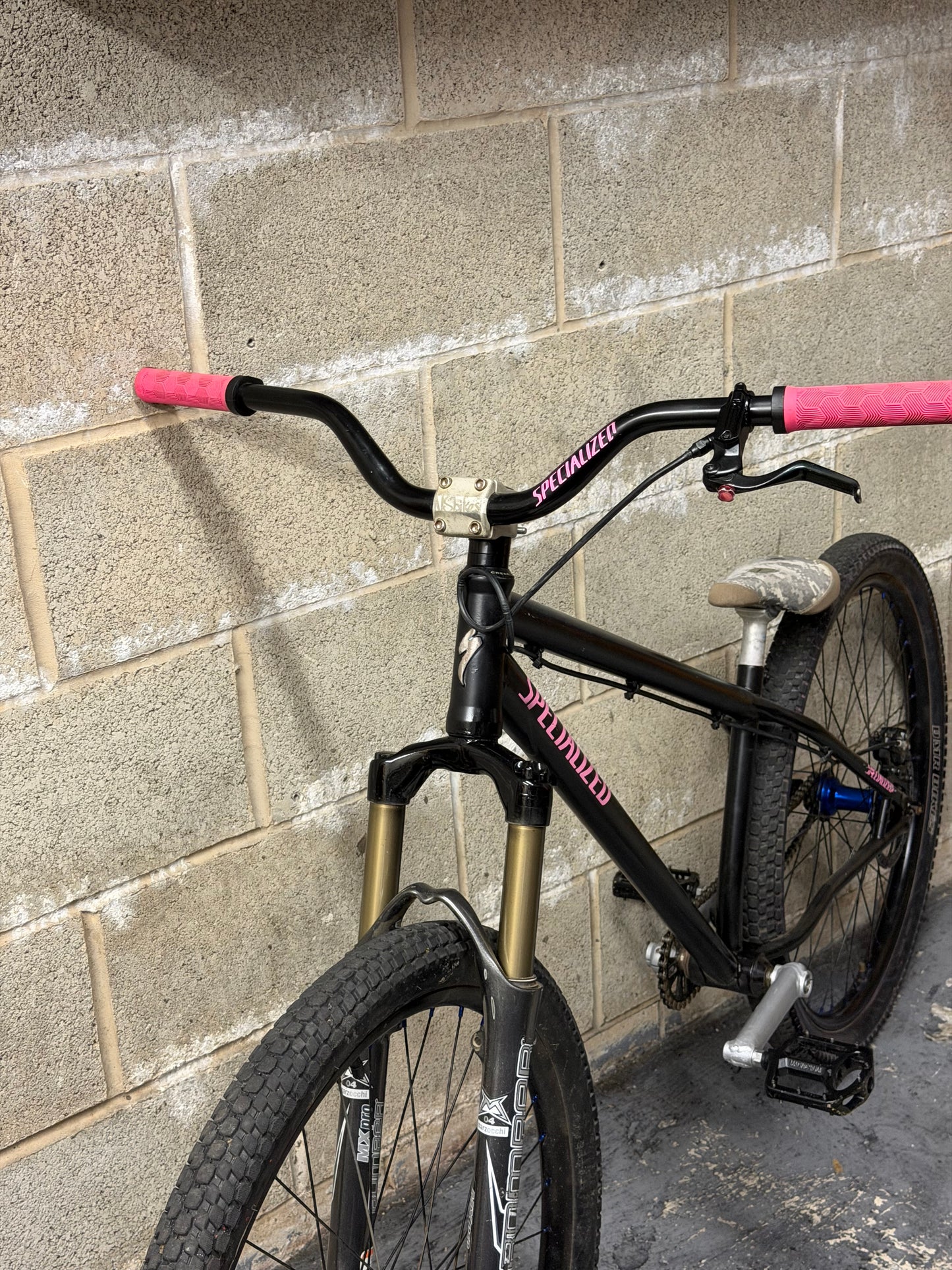 Custom Specialized Dirt Jump Bike 26”