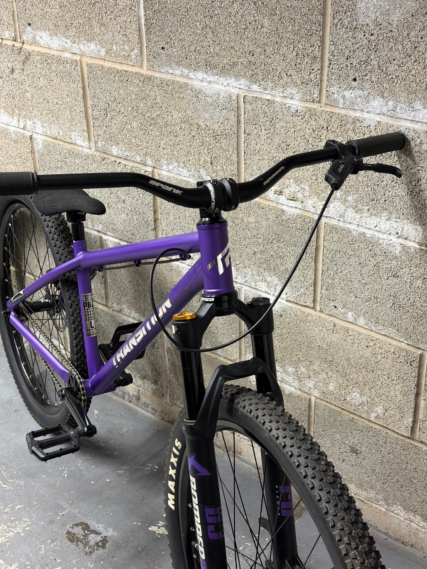 Custom Transition PBJ Dirt Jump Bike 26”