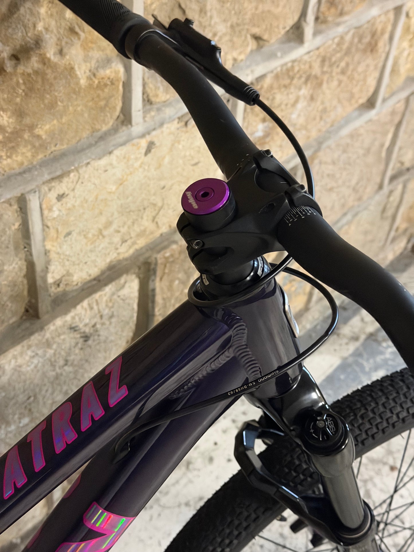 Custom Marin Alcatraz Dirt Jump Bike 26”