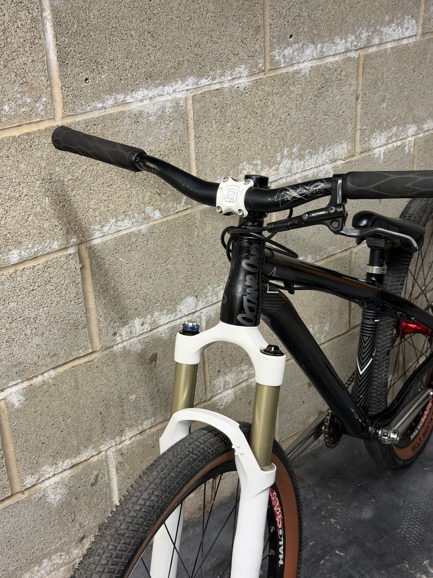Custom Octane One Dirt Jump Bike 26”