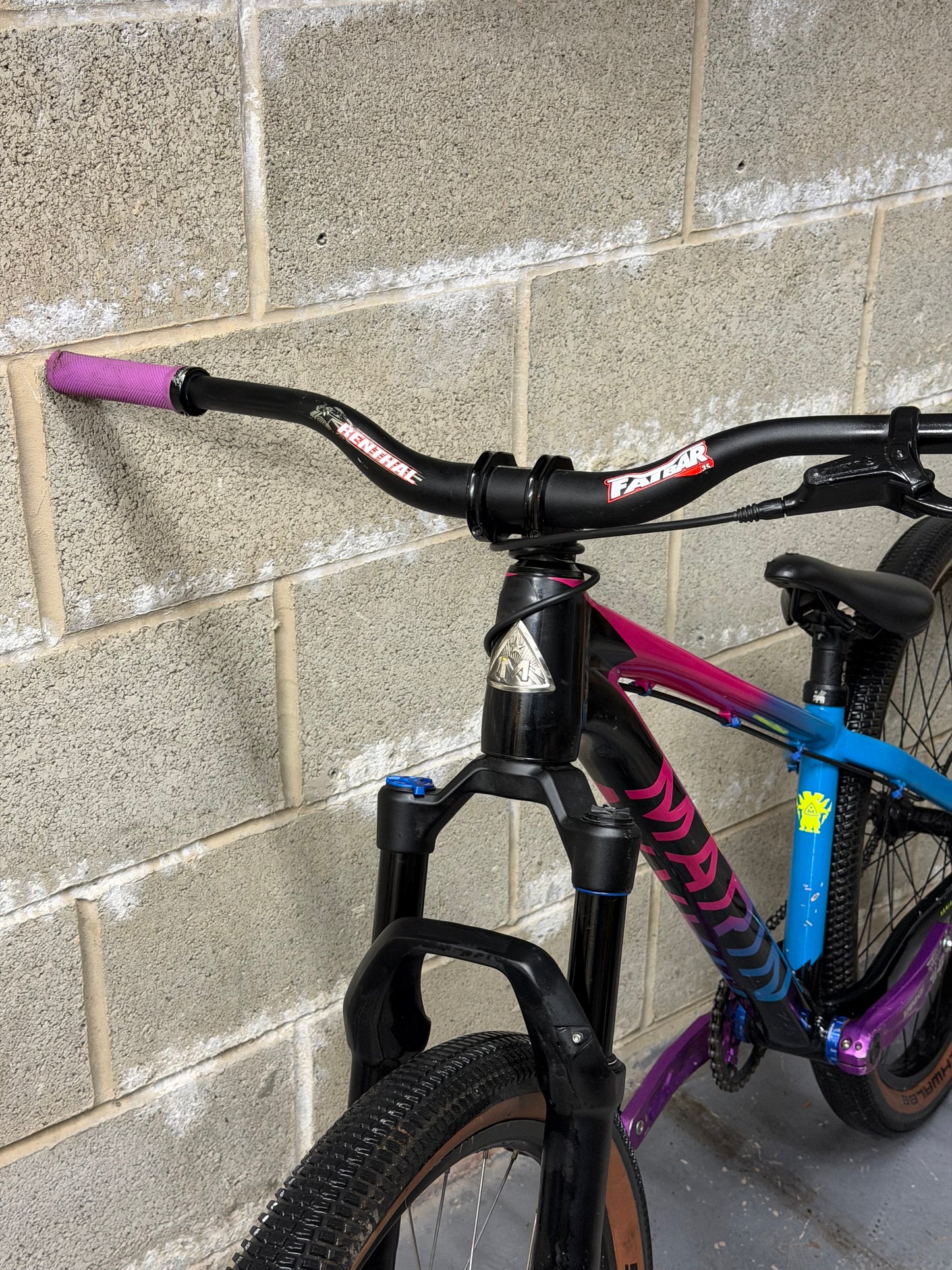 Custom Marin Alcatraz Dirt Jump Bike 26”