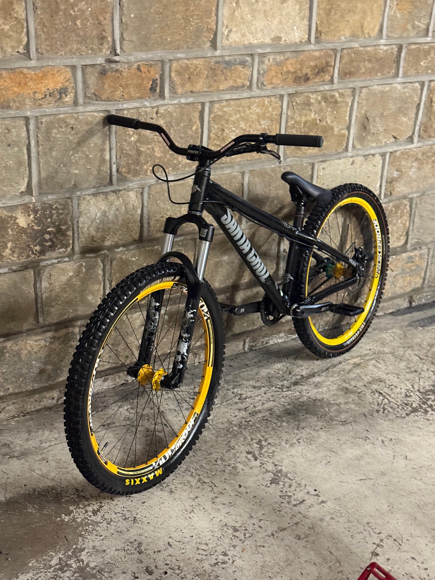 Custom Santa Cruz Dirt Jump Bike 26”
