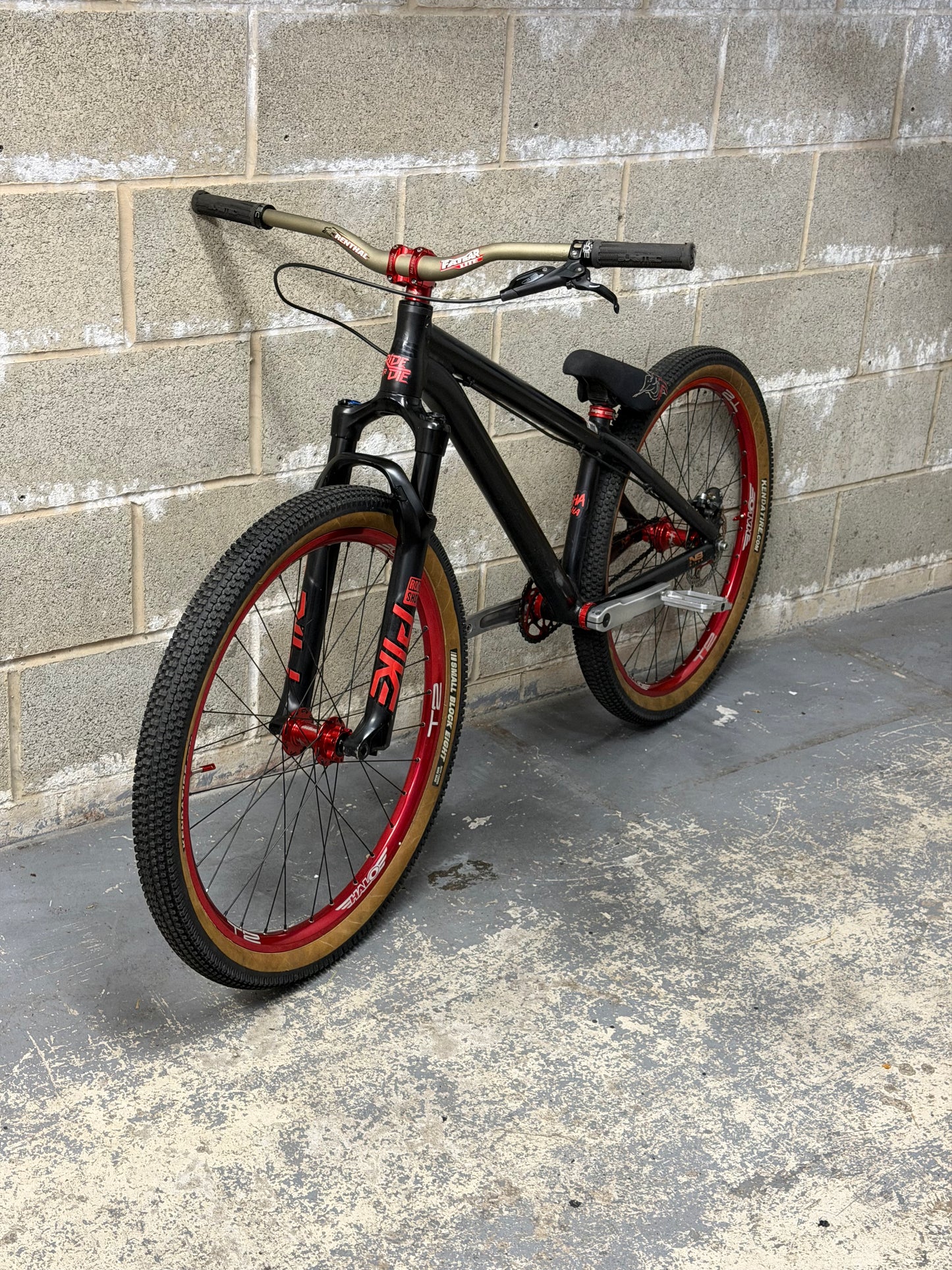 Custom NS Dirt Jump Bike 26”