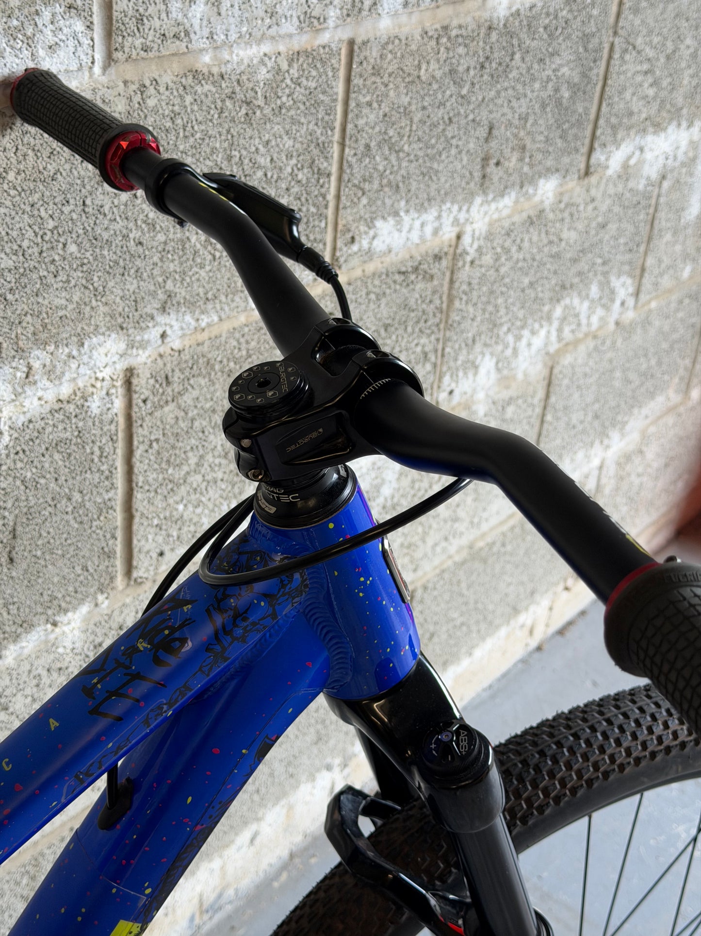 Custom Marin Alcatraz Dirt Jump Bike 26”