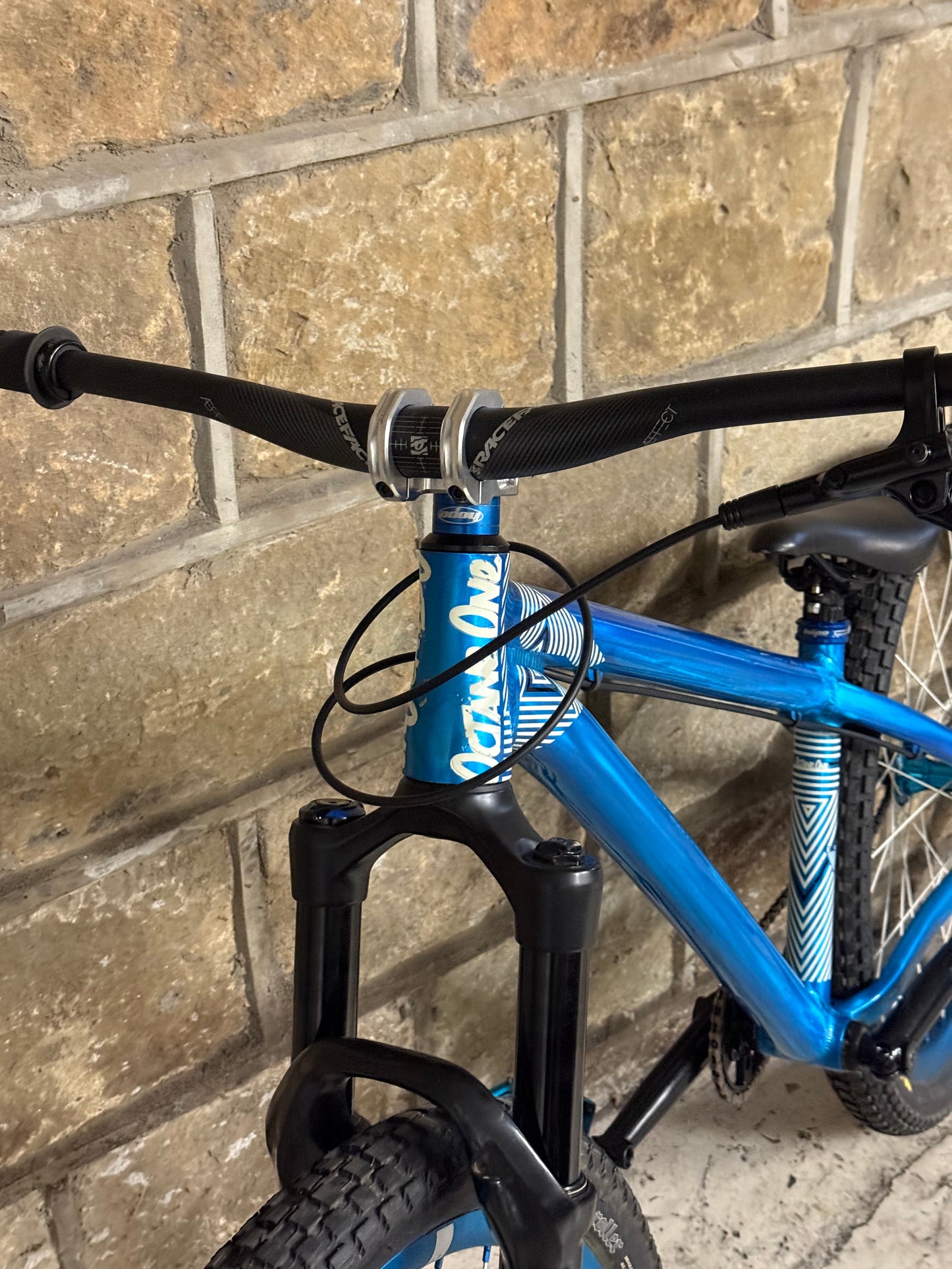 Custom Octane One Dirt Jump Bike 26”