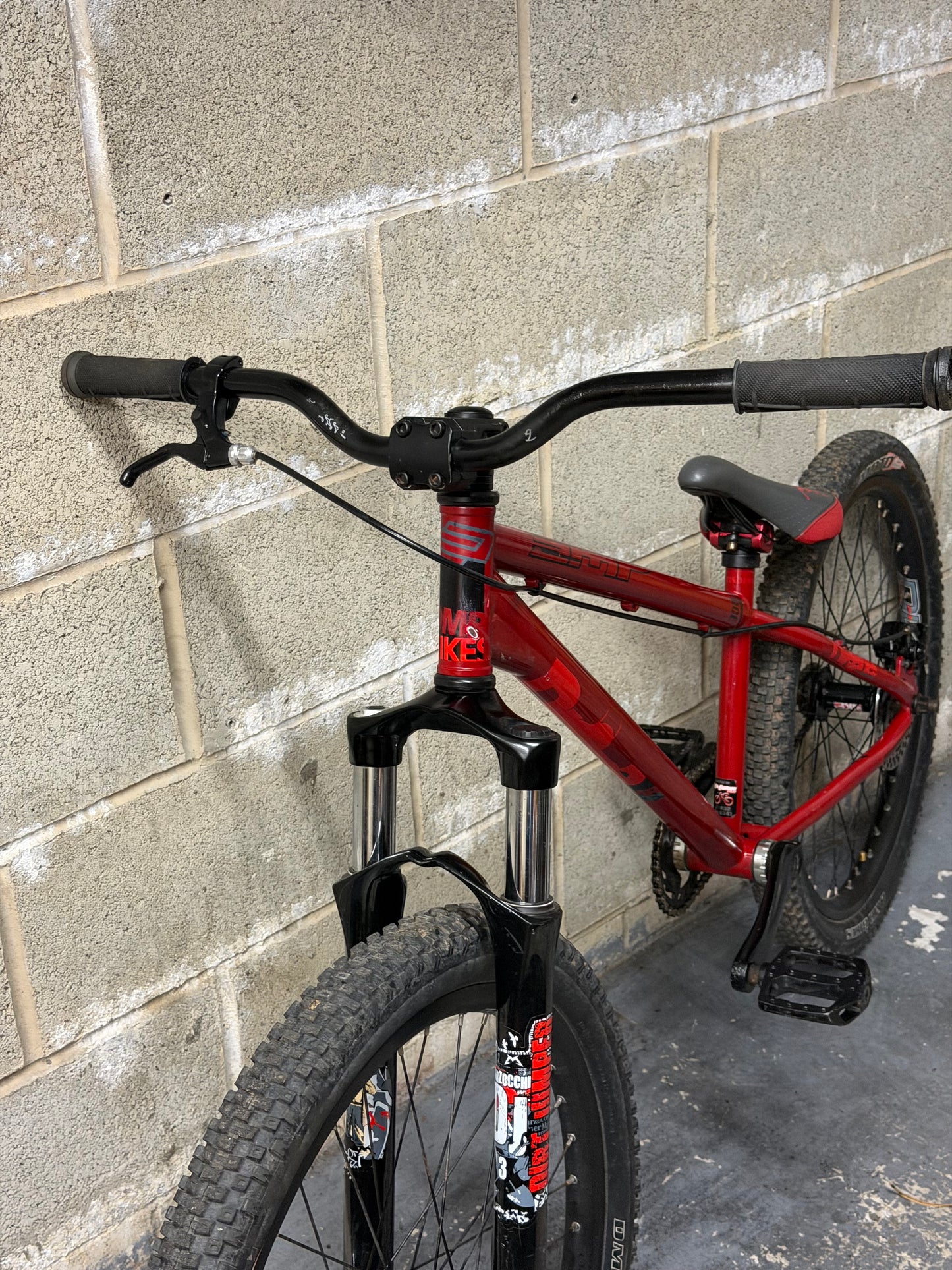 Custom DMR Dirt Jump Bike 24”