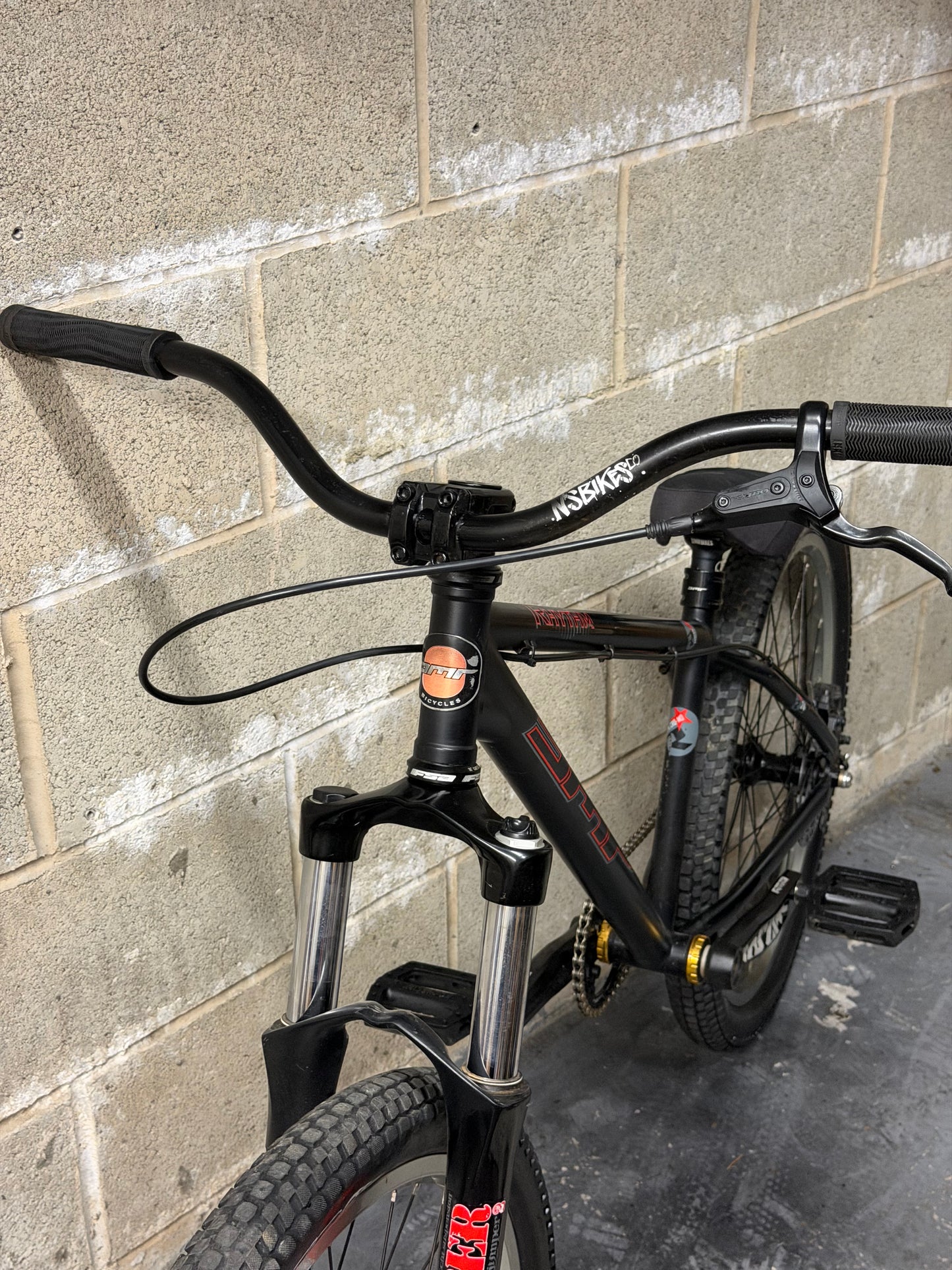 Custom DMR Dirt Jump Bike 24”
