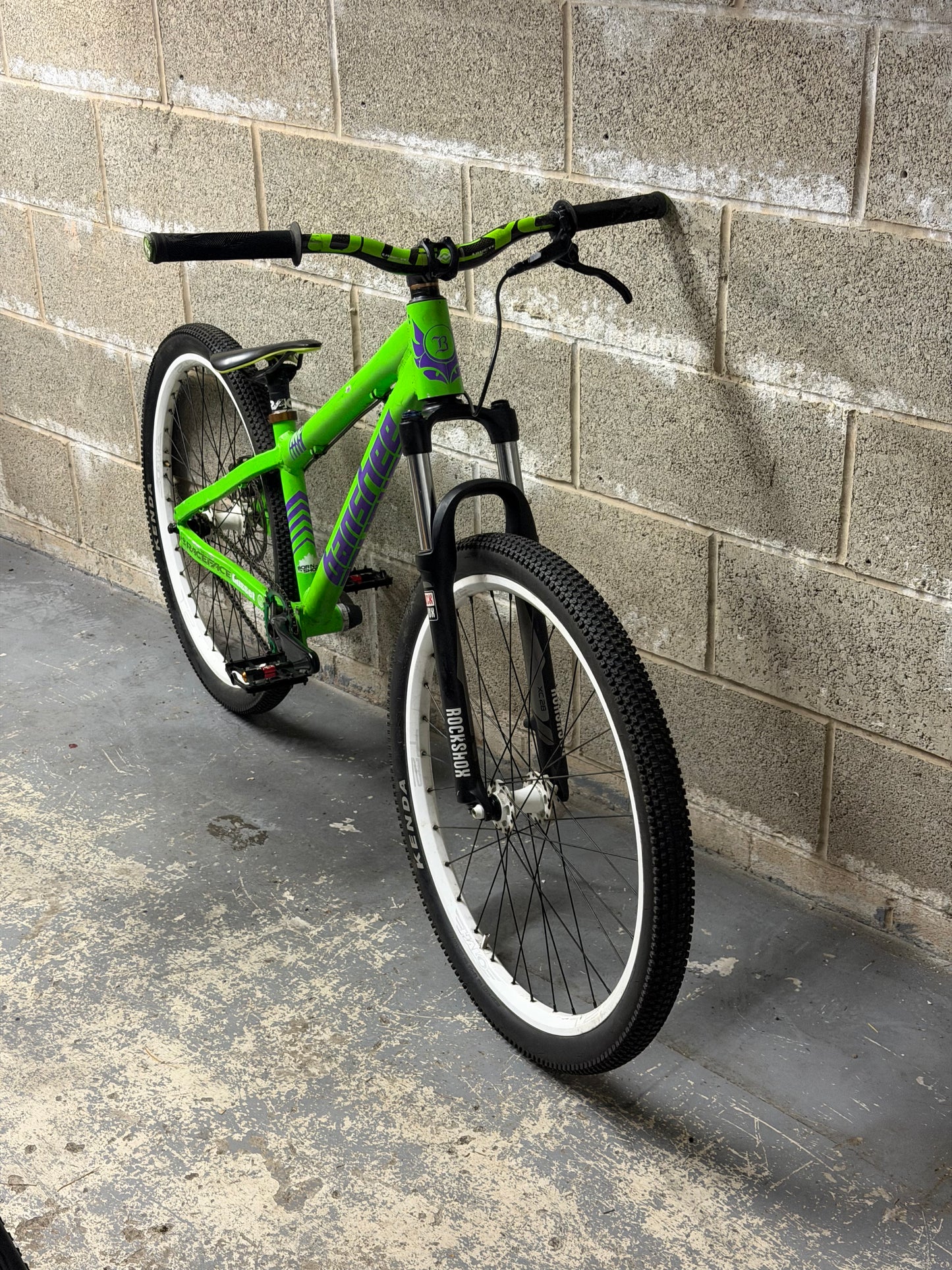 Custom Banshee Amp Dirt Jump Bike 26”