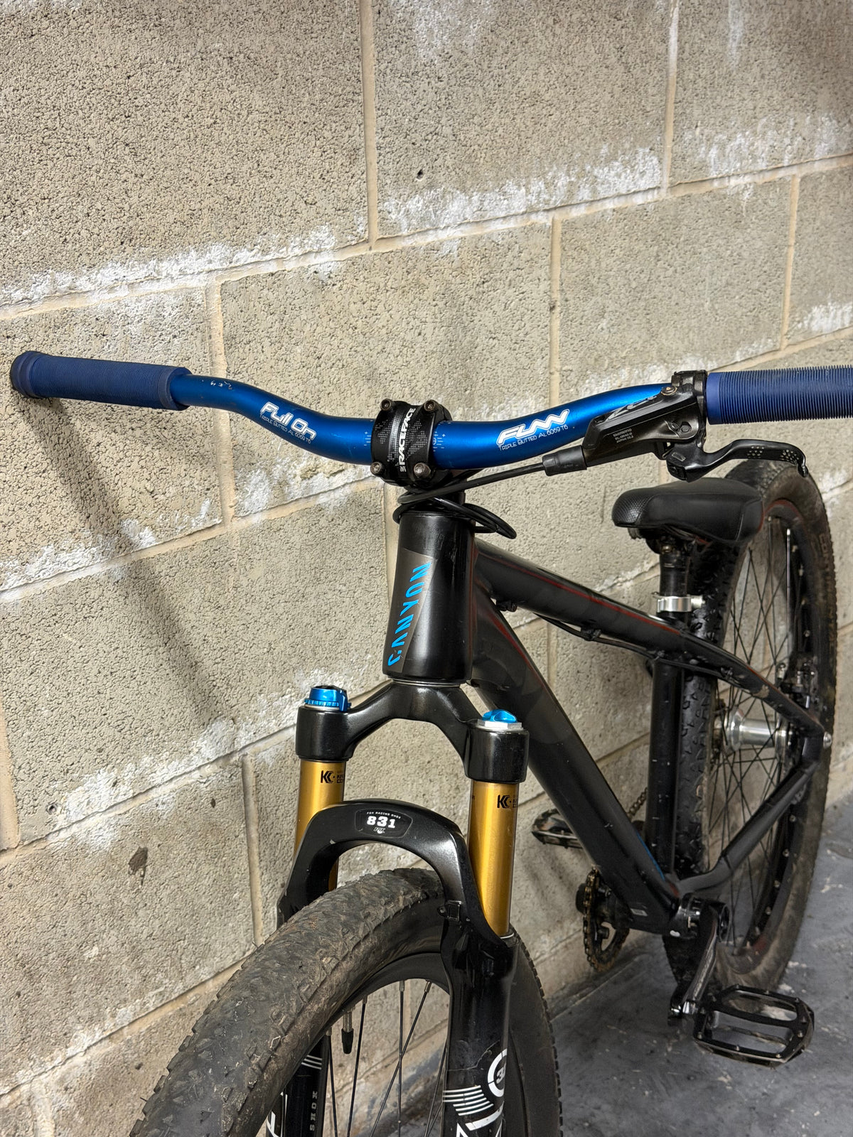 Custom Canyon Stitched 360 Dirt Jump Bike 26”