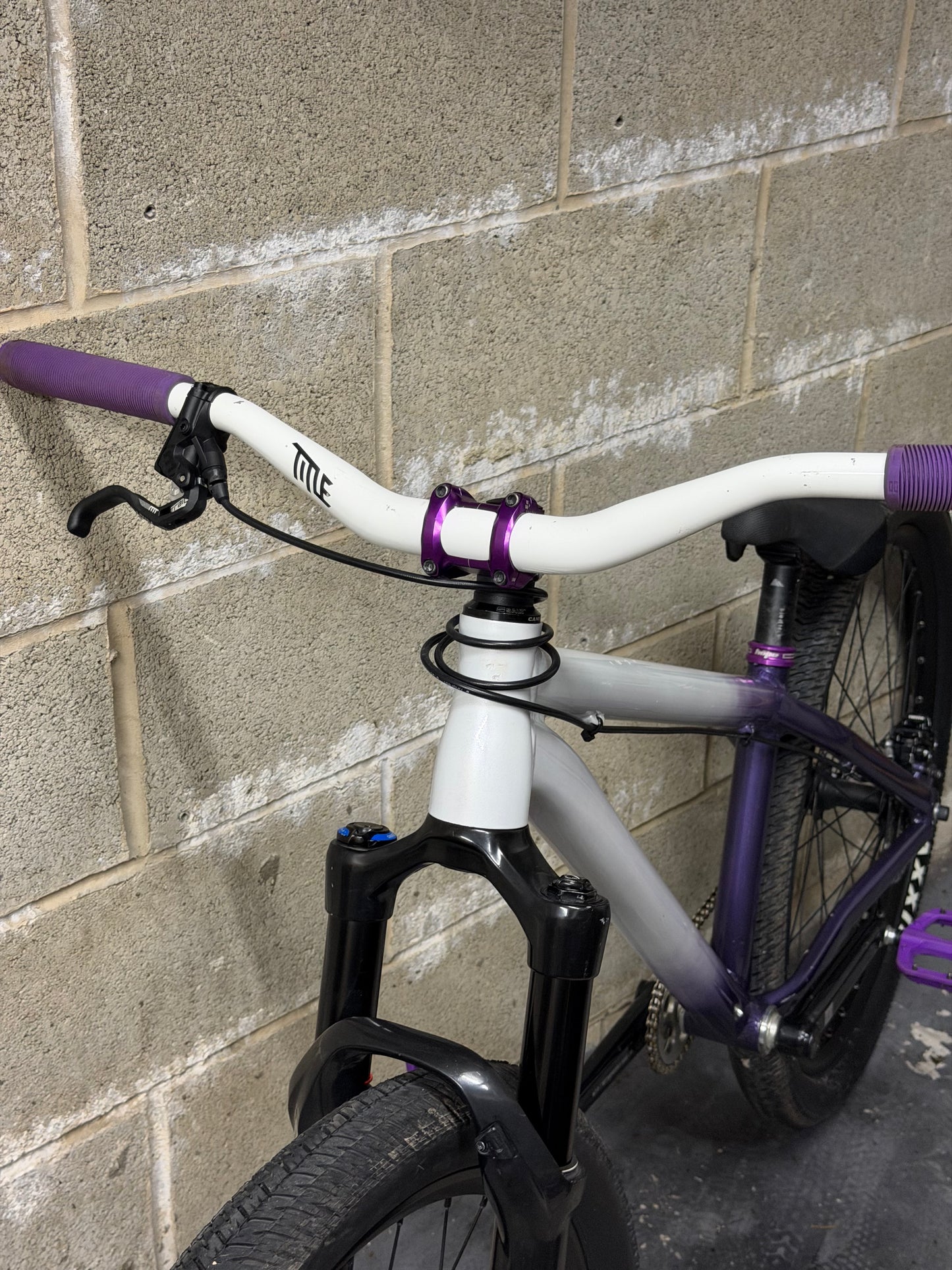 Custom Octane One Dirt Jump Bike 26”