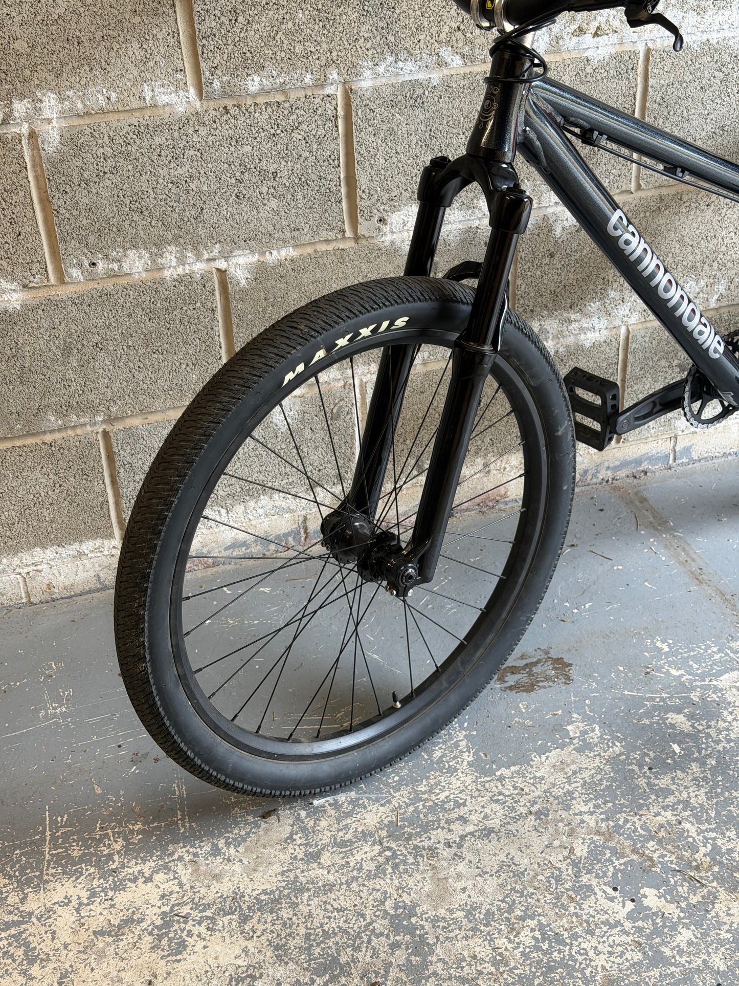 Custom Cannondale Dave Dirt Jump Bike 26”