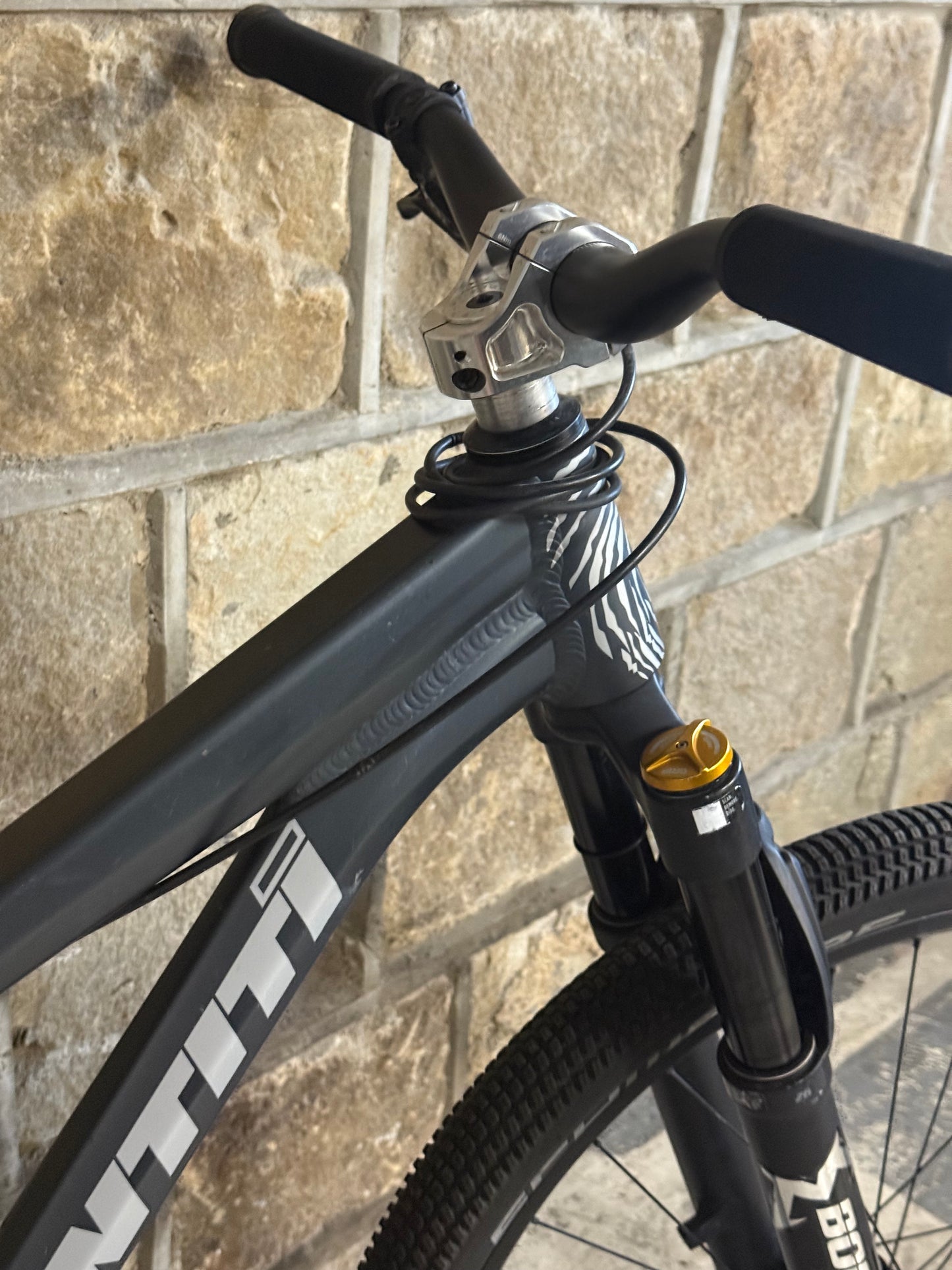 Custom Identiti Dirt Jump Bike 26”