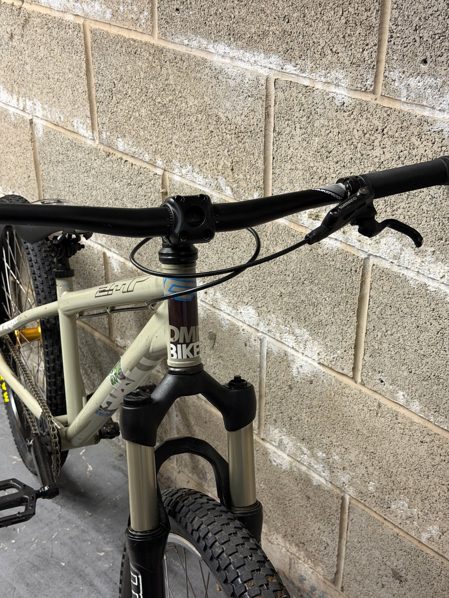 Custom DMR Dirt Jump Bike 24”