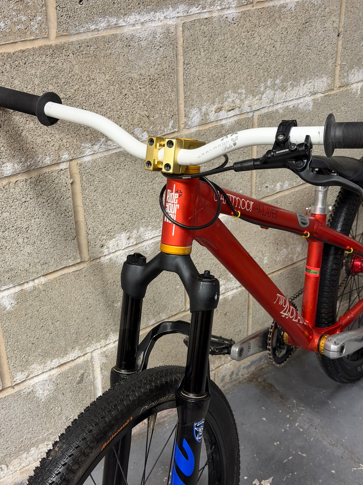 Custom Dartmoor Dirt Jump Bike 24”