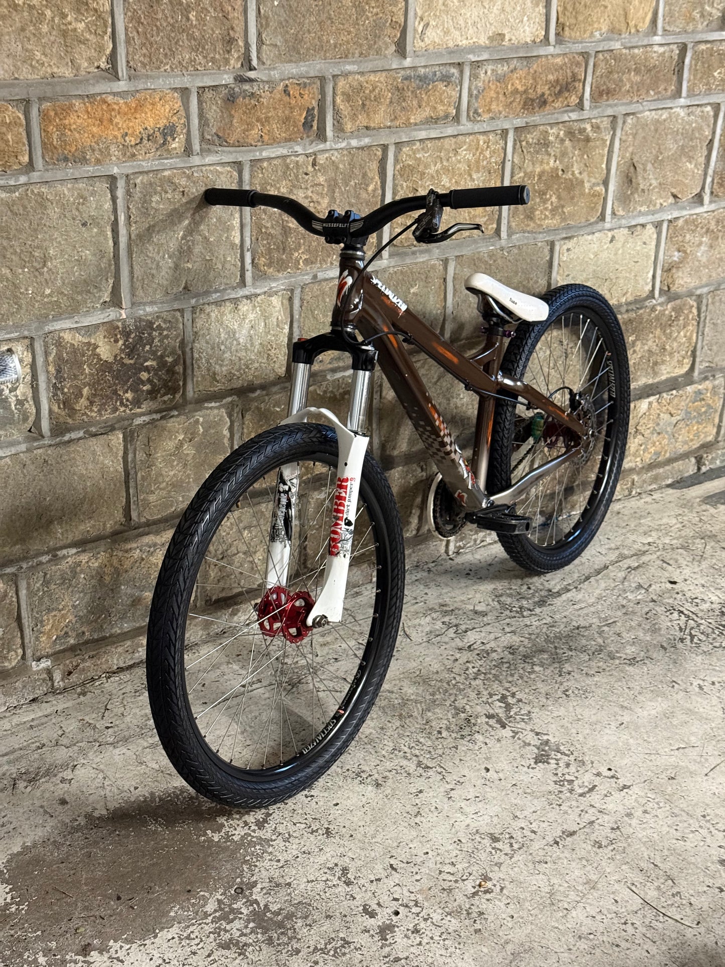 Custom Specialized Dirt Jump Bike 26”