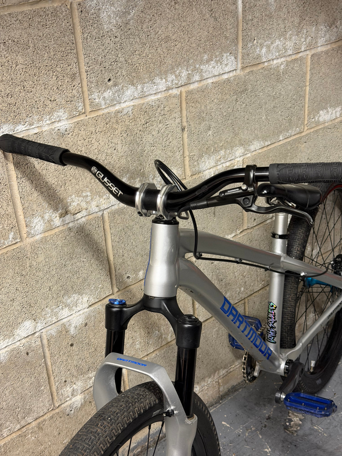Custom Dartmoor Dirt Jump Bike 26”