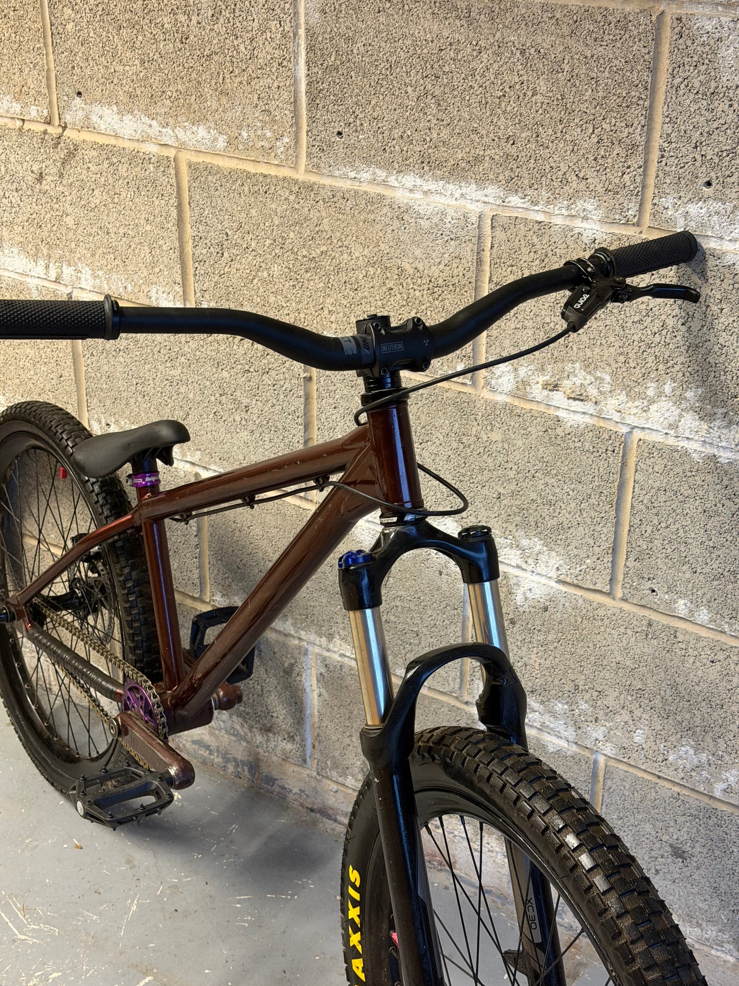 Custom Dirt Jump Bike 24”